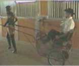 ma_sj_ponygirl1_3-4th.jpg